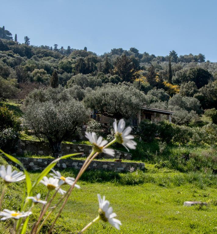 Villa Collina Vasilikí 外观 照片